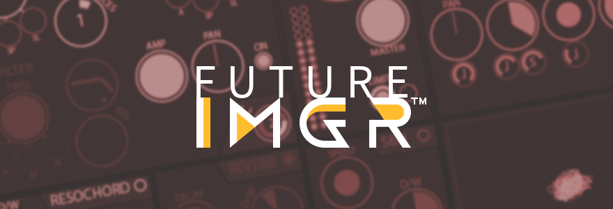 Future IMGR